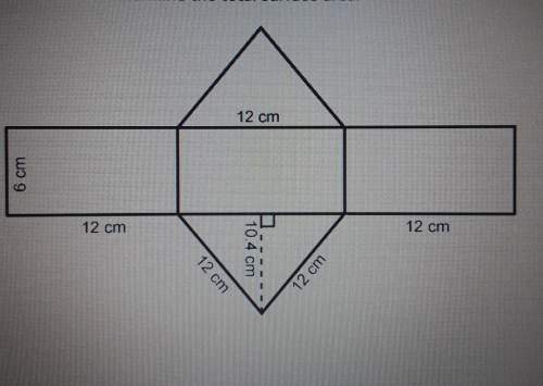 Use the net to determine the total surface area
