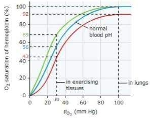 The bohr shiftthe graph below shows the hemoglobin dissociation curves (also called equi