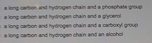 Which best describes the basic structure of a fatty acid