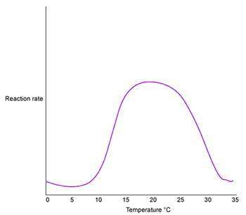 The graph above shows the progress of an enzyme-catalyzed chemical reaction. based on the graph, thi