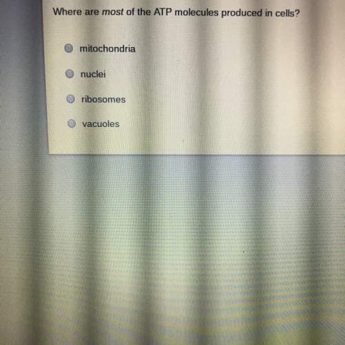 Where are most of the atp molecules produced in cells