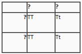 What are the genotypes of the parents in the monohybrid cross below if the following offspring genot