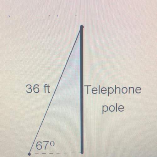 The telephone pole is feet tall (round to the nearest whole number) 14 ft 85 ft