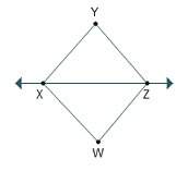 Which is the line shown in the figure?  line xy line xz line wx line w