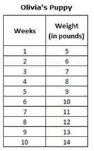 is the relationship for olivia’s puppy’s weight in terms of time increasing or decreasi