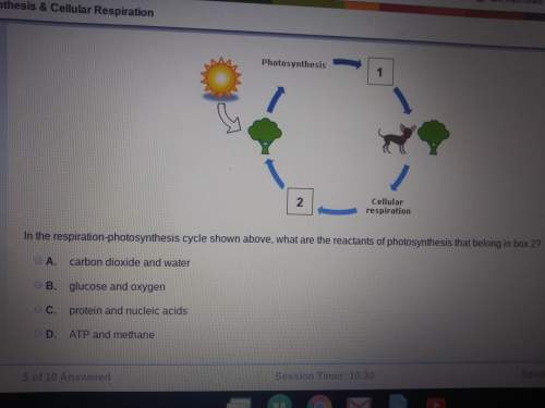 In the respiration-photosynthesis cycle shown above, what are the reactants of photosynthesis that b