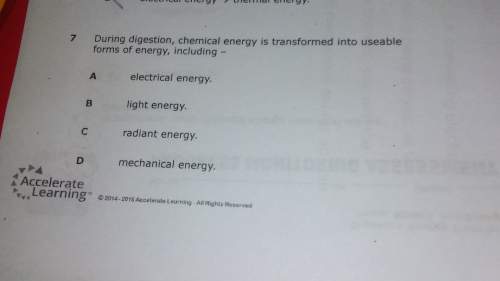 During digestion,chemical energy is tranfromed into usable forms of energy,including? _a