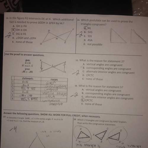 Congruent triangles &amp; proofs need answers to all the ones i got wrong. u!