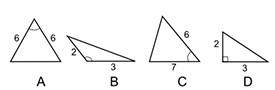 Sandra calculated the missing side length of one of these triangles using the pythagorean theorem. w