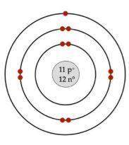 100 points and you  below is a bohr model of an element with 11 protons, 12 neutrons,