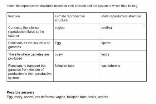 Match the reproductive structures based on their function and the system to which they belong. answe
