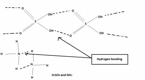 Which of the following compounds will experience hydrogen bonding?  (2 points) nh3 hbr c2h4 h2so4