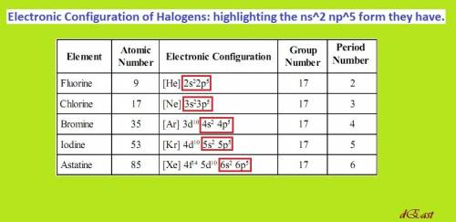 Which elements have electron configurations that end in ns 2 np 5 ?  halogens noble gases inner tran
