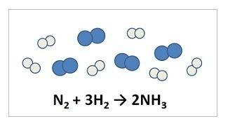 Nitrogen and hydrogen react to form ammonia. consider the mixture of n2 (blue spheres) and h2 (gray