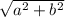 \sqrt{a^2+b^{2}