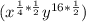 (x^{\frac{1}{4}*\frac{1}{2}} y^{16*\frac{1}{2}})