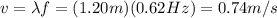 v= \lambda f = (1.20 m)(0.62 Hz)=0.74 m/s