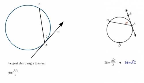 What is measure of arc ac if the m ∠bac = 28°?  a. 152°  b. 56°  c. 14°  d. 28°