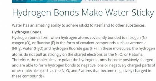What force  water molecules stick together