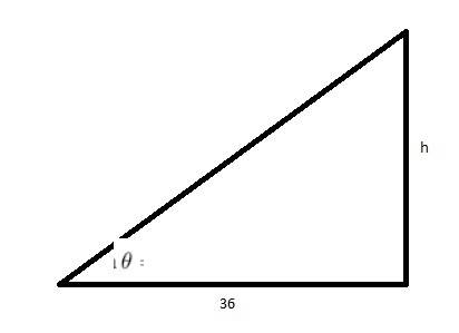 Aperson is standing exactly 36 ft from a telephone pole. there is a 30° angle of elevation from the