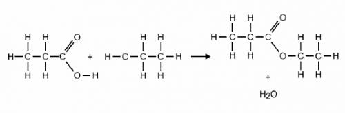 Which answer best describes this reaction?  formation of an ester by condensation formation of an et