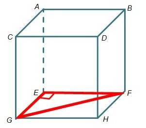 Which triangle has hypotenuse gf?  triangle afg triangle bfg triangle efg triangle dfg