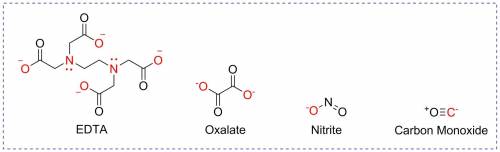 Choose the polydentate ligand from the substances below. hydroxide ion nitrite ion oxalate ion carbo