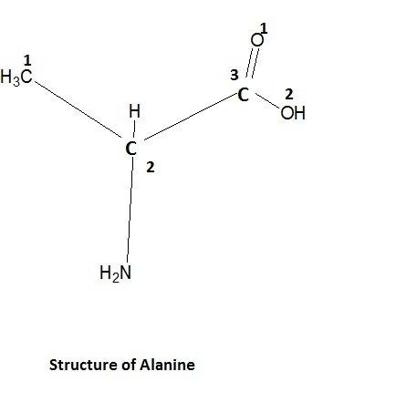 Consider the structure of the amino acid alanine. indicate the hybridization about each interior ato