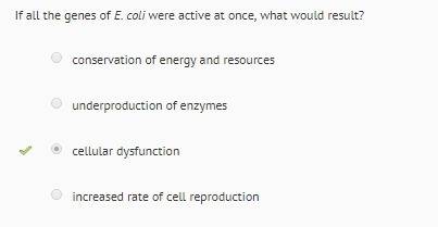 If all the genes of e.coli were active at once what would result. a). conservation of energy and res