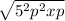 \sqrt{ 5^{2}  p^{2} x p}