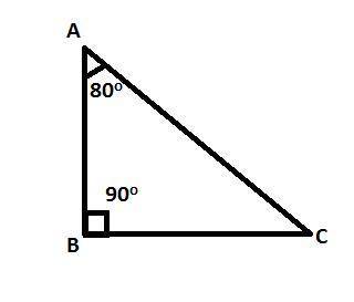 One angle of a right triangle measures 80 degrees what is the measure of the other acute angle