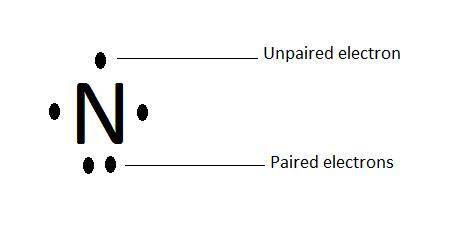 There are  paired and  unpaired electrons in the lewis symbol for a nitrogen atom.