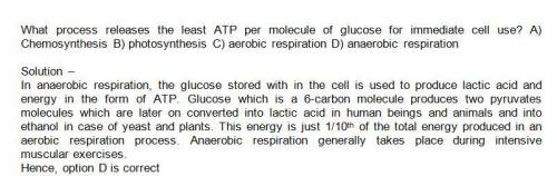 What process releases the least atp per molecule of glucose for immediate cell use