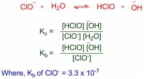 Write the acid-base equilibrium reaction between clo– and h2o. ignore phases.