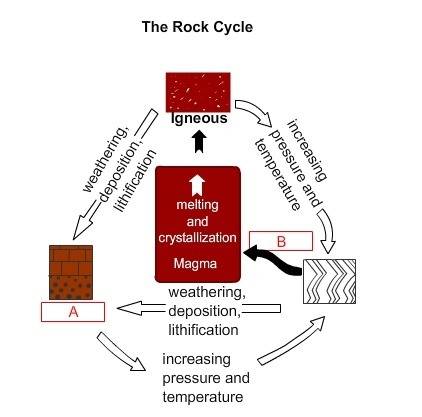 In this model of the rock cycle, a represents rock and b represents the process of . nextreset