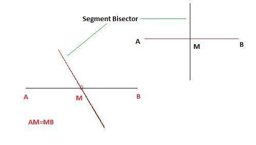 (geometry) the presence of a segment bisector will result in what type of segments?   a) non-coplana