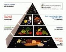 25   how would the four classes of macromolecules fit into the food categories shown in the food pyr