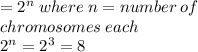 = {2}^{n}  \: where \: n = number \: of  \\ chromosomes \: each \\ {2}^{n}  = {2}^{3}  = 8