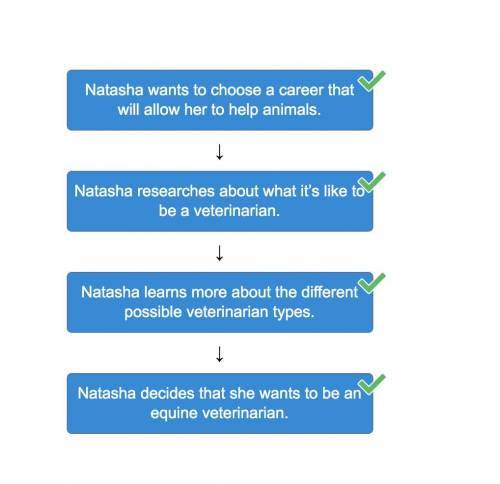 Natasha is in the middle of choosing a career. arrange her actions in the decision making process in