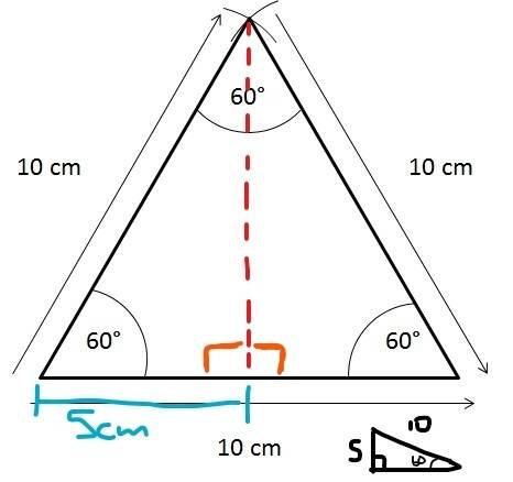 What triangles are formed when you draw a line through the middle of an equilateral triangle