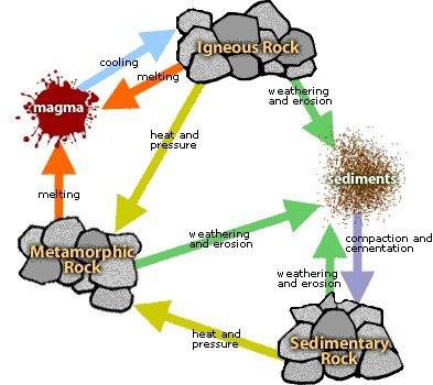The diagram below shows a portion of the rock cycle.