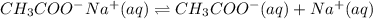 CH_{3}COO^{-}Na^{+}(aq) \rightleftharpoons CH_{3}COO^{-}(aq) + Na^{+}(aq)