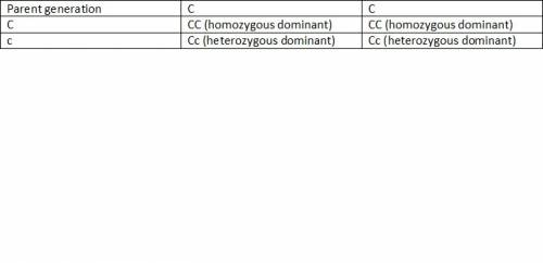 James is homozygous dominant for curly hair (cc), and his wife is heterozygous (cc). what is the pro