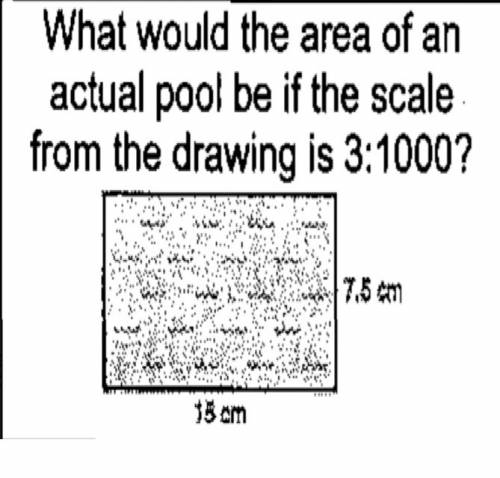 What would the area of an actual pool be the scale from the drawing is 3: 1000