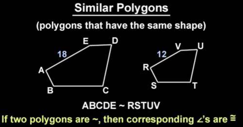What does it mean for two polygons to be similar