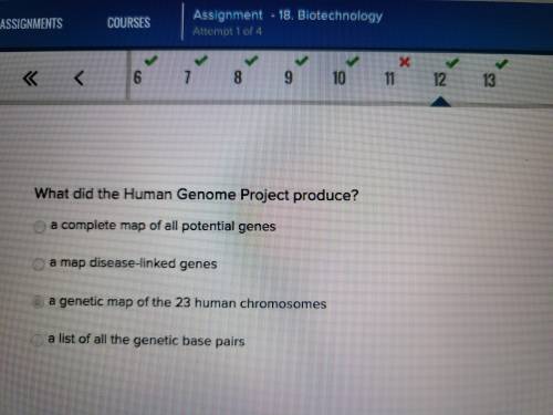 What was produced as a result of the human genome project?