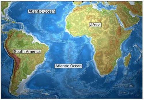 Which  2 continents have the most obvious fit of the coastlines. subject science