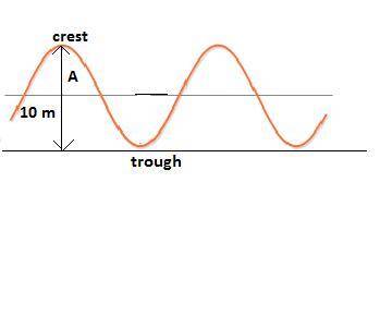 The vertical height of an ocean wave from a crest to a trough is 10 meters. what is the amplitude of