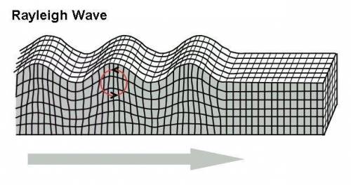 Whixh type of seismic wave is highlighted in the image?