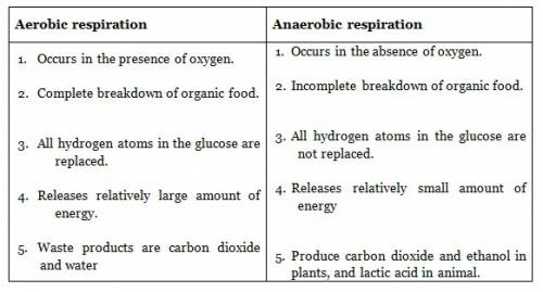 Difference between aerobic metabolism and anaerobic metabolism